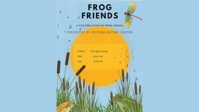 promotional flyer for Frog Friends: A celebration of frog songs at the burlington library