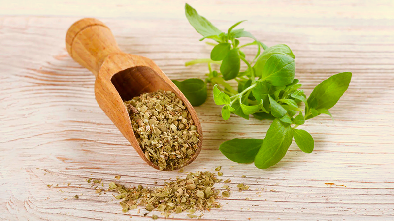 Wooden scoop half filled with dried oregano sitting next to a fresh green spring of oregano on a whitewashed wooden board.